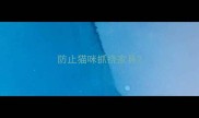 防止猫咪抓挠家具