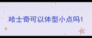 哈士奇可以体型小点吗