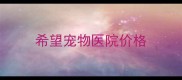 希望宠物医院价格