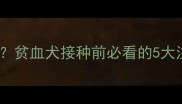 狗狗天生贫血能打疫苗吗贫血犬接种前必看的5大注意事项及科学应对方案
