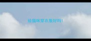 给猫咪穿衣服好吗