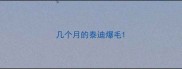 几个月的泰迪爆毛