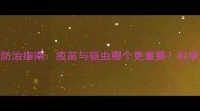 宠物寄生虫防治指南疫苗与驱虫哪个更重要科学应对策略全