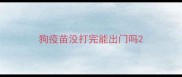 狗疫苗没打完能出门吗