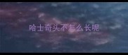 哈士奇头不怎么长呢