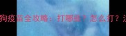 新手必看狗狗疫苗全攻略打哪些怎么打注意事项全