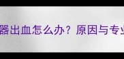 泰迪犬生殖器出血怎么办原因与专业护理指南
