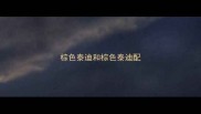 棕色泰迪和棕色泰迪配