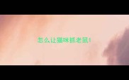 怎么让猫咪抓老鼠