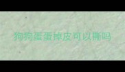 狗狗蛋蛋掉皮可以撕吗