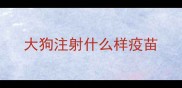 大狗注射什么样疫苗