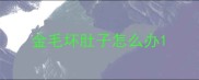 金毛坏肚子怎么办
