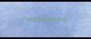 广州花地湾宠物市场