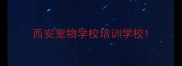 西安宠物学校培训学校