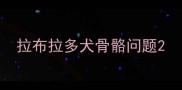 拉布拉多犬骨骼问题