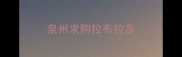 泉州求购拉布拉多