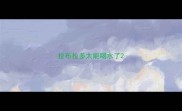 拉布拉多太能喝水了
