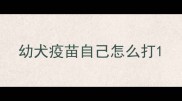 幼犬疫苗自己怎么打