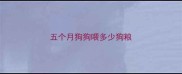 五个月狗狗喂多少狗粮