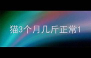 猫3个月几斤正常