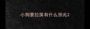 小狗要拉屎有什么预兆