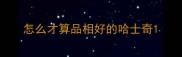 怎么才算品相好的哈士奇
