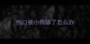 伤口被小狗舔了怎么办