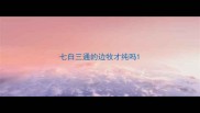 七白三通的边牧才纯吗