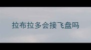 拉布拉多会接飞盘吗