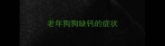 老年狗狗缺钙的症状
