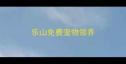 乐山免费宠物领养