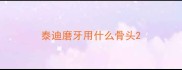 泰迪磨牙用什么骨头