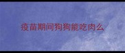疫苗期间狗狗能吃肉么