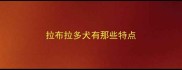 拉布拉多犬有那些特点