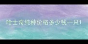 哈士奇纯种价格多少钱一只