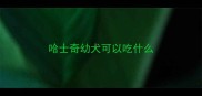 哈士奇幼犬可以吃什么