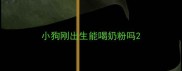 小狗刚出生能喝奶粉吗