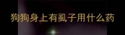 狗狗身上有虱子用什么药
