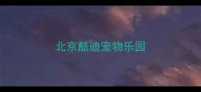 北京酷迪宠物乐园