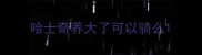 哈士奇养大了可以骑么