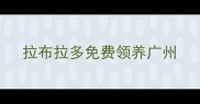 拉布拉多免费领养广州