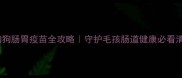 狗狗肠胃疫苗全攻略守护毛孩肠道健康必看清单