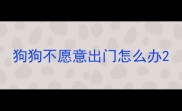 狗狗不愿意出门怎么办