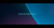 拉布拉多长腿和短腿