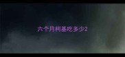 六个月柯基吃多少