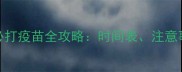 泰迪幼犬40天必打疫苗全攻略时间表注意事项与常见误区
