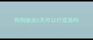 狗狗驱虫5天可以打疫苗吗