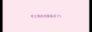 哈士奇的肉垫裂开了