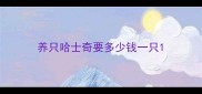 养只哈士奇要多少钱一只
