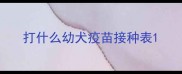 打什么幼犬疫苗接种表